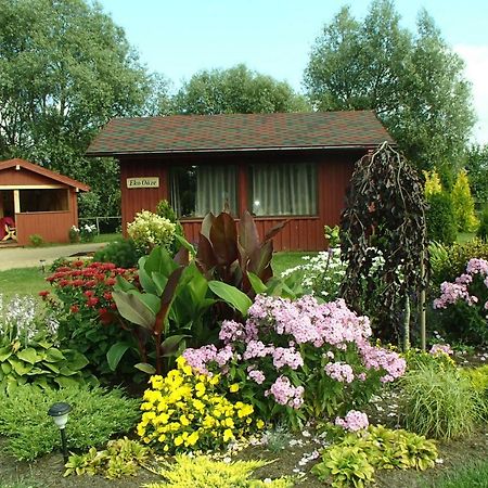 Eko Oaze Villa Pērkone Exterior foto