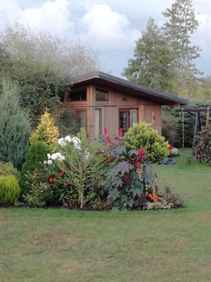 Eko Oaze Villa Pērkone Exterior foto