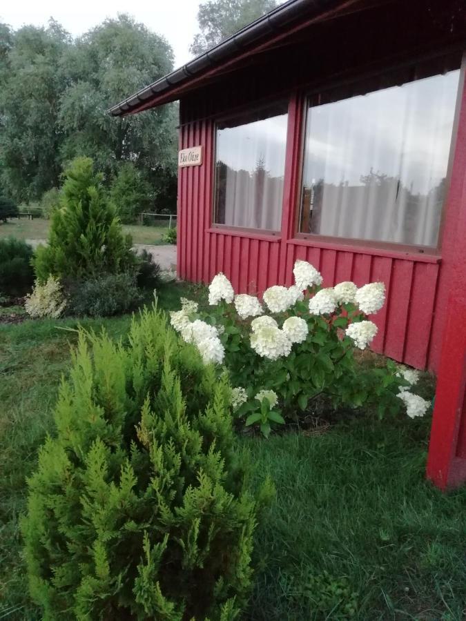 Eko Oaze Villa Pērkone Exterior foto