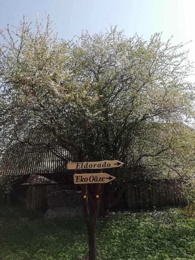 Eko Oaze Villa Pērkone Exterior foto